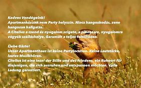 Citellus Apartman