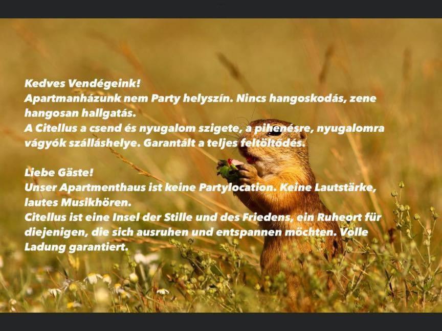 Citellus Apartman Dunasziget Zewnętrze zdjęcie